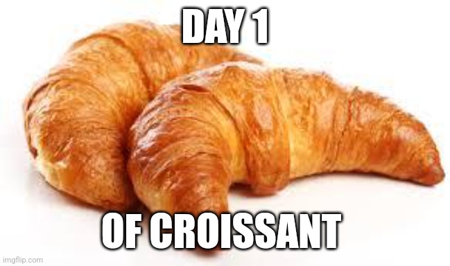 Croissant, Day 1 | DAY 1; OF CROISSANT | image tagged in croissant,food memes | made w/ Imgflip meme maker