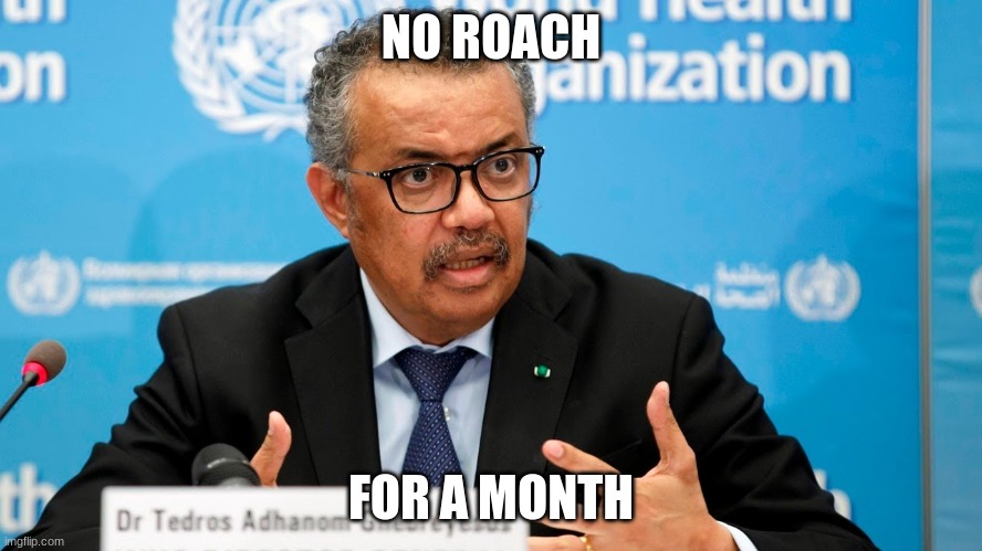 Damage Control Tedros | NO ROACH FOR A MONTH | image tagged in damage control tedros | made w/ Imgflip meme maker