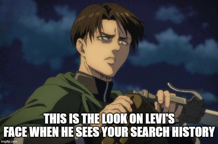 THIS IS THE LOOK ON LEVI'S FACE WHEN HE SEES YOUR SEARCH HISTORY | made w/ Imgflip meme maker