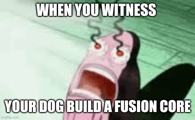 My dog just built a fusion core | WHEN YOU WITNESS; YOUR DOG BUILD A FUSION CORE | image tagged in burning,sci-fi,science | made w/ Imgflip meme maker