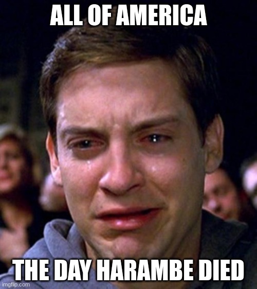 crying peter parker | ALL OF AMERICA; THE DAY HARAMBE DIED | image tagged in crying peter parker | made w/ Imgflip meme maker