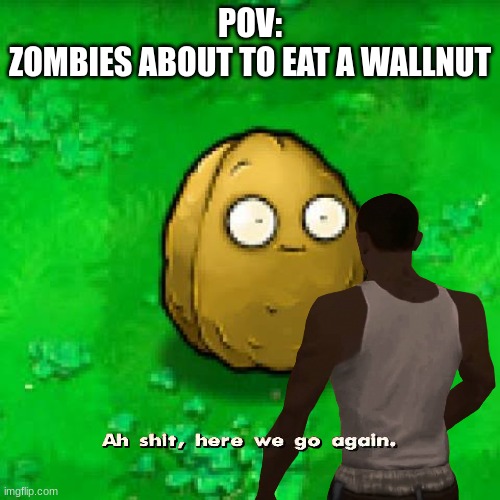 Wall-Nut | POV:
ZOMBIES ABOUT TO EAT A WALLNUT | image tagged in wall-nut | made w/ Imgflip meme maker