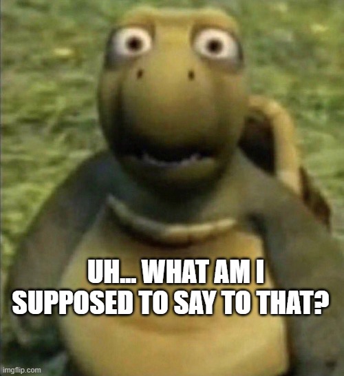 shocked turtle | UH... WHAT AM I SUPPOSED TO SAY TO THAT? | image tagged in shocked turtle | made w/ Imgflip meme maker