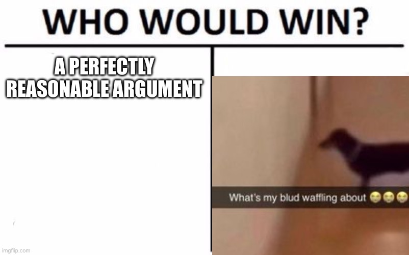 who’s winning | A PERFECTLY REASONABLE ARGUMENT | image tagged in memes,who would win | made w/ Imgflip meme maker