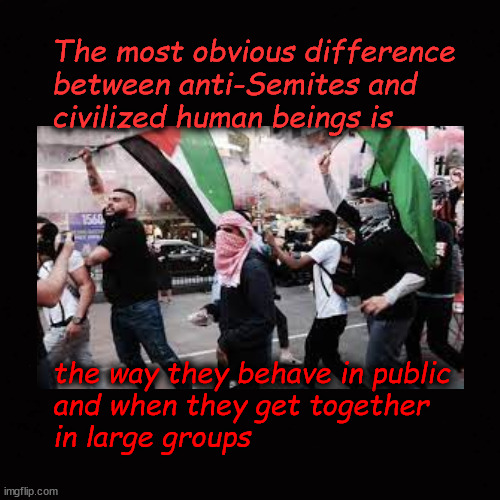 The most obvious difference  between anti-Semites and civilized human beings is ... | The most obvious difference 
between anti-Semites and
civilized human beings is; the way they behave in public 
and when they get together 
in large groups | image tagged in anti-semitism,anti-semites,mostly peaceful protests | made w/ Imgflip meme maker