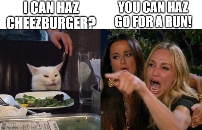 You can haz go for a run | YOU CAN HAZ GO FOR A RUN! I CAN HAZ CHEEZBURGER? | image tagged in woman yelling at cat,i can has cheezburger cat,running,exercise | made w/ Imgflip meme maker