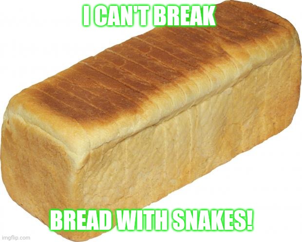 Breadddd | I CAN'T BREAK; BREAD WITH SNAKES! | image tagged in breadddd | made w/ Imgflip meme maker