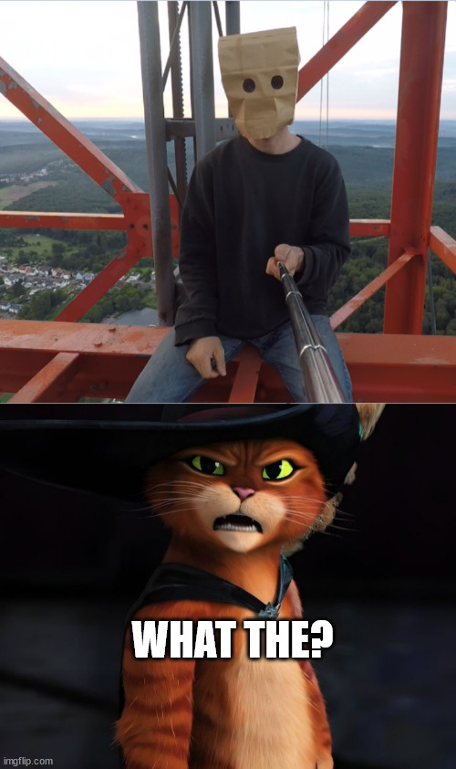 Puss in boots 2, lattice climber | WHAT THE? | image tagged in baghead,meme,lattice climbing,klettern,gato,joke | made w/ Imgflip meme maker