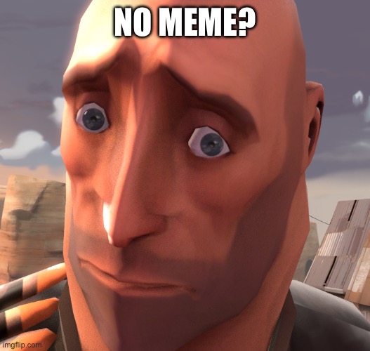 No Bitches? Heavy TF2 | NO MEME? | image tagged in no bitches heavy tf2 | made w/ Imgflip meme maker