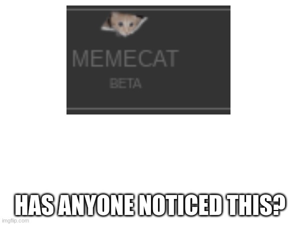 click memechat | HAS ANYONE NOTICED THIS? | image tagged in 4 | made w/ Imgflip meme maker