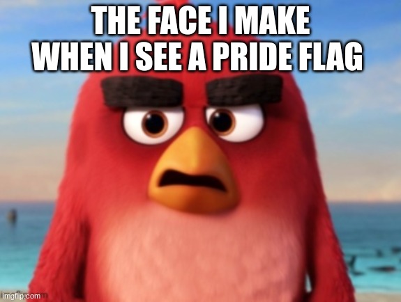 Red | THE FACE I MAKE WHEN I SEE A PRIDE FLAG | image tagged in red | made w/ Imgflip meme maker
