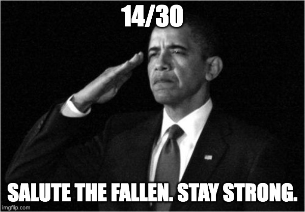 RIP to our lost soldiers. | 14/30; SALUTE THE FALLEN. STAY STRONG. | image tagged in obama-salute,nnn,rip | made w/ Imgflip meme maker