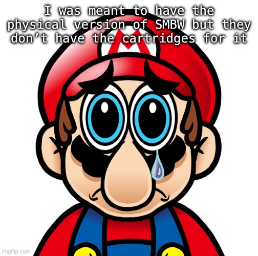 Spunch Bob Mario (Updated) | I was meant to have the physical version of SMBW but they don’t have the cartridges for it | image tagged in spunch bob mario updated | made w/ Imgflip meme maker