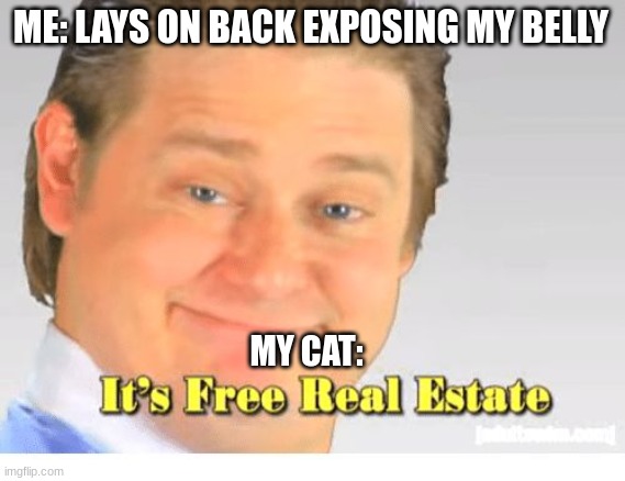 It's Free Real Estate | ME: LAYS ON BACK EXPOSING MY BELLY; MY CAT: | image tagged in it's free real estate | made w/ Imgflip meme maker