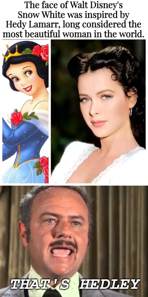Blazing Saddles Ref. | The face of Walt Disney's Snow White was inspired by Hedy Lamarr, long considered the most beautiful woman in the world. | image tagged in blazing saddles,classic movies,movies,funny | made w/ Imgflip meme maker