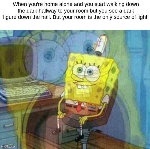 spongebob panic inside | When you're home alone and you start walking down the dark hallway to your room but you see a dark figure down the hall. But your room is the only source of light | image tagged in spongebob panic inside | made w/ Imgflip meme maker