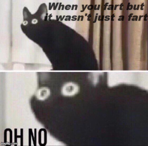 Oh no... | When you fart but it wasn't just a fart | image tagged in oh no cat | made w/ Imgflip meme maker