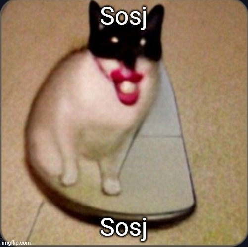 dafuq is this | Sosj; Sosj | image tagged in dafuq is this | made w/ Imgflip meme maker