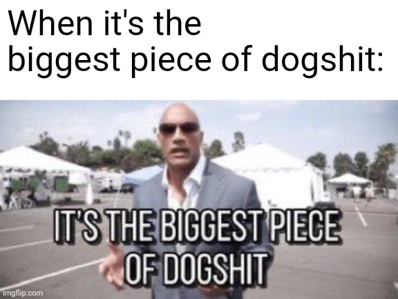 it's the biggest piece of dogshit | When it's the biggest piece of dogshit: | image tagged in it's the biggest piece of dogshit,anti meme | made w/ Imgflip meme maker