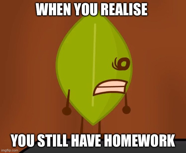 BFDI "Wat" Face | WHEN YOU REALISE; YOU STILL HAVE HOMEWORK | image tagged in bfdi wat face | made w/ Imgflip meme maker