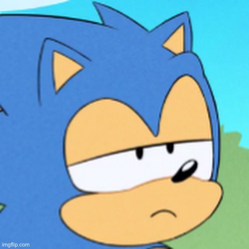 bruh sonic | image tagged in bruh sonic | made w/ Imgflip meme maker