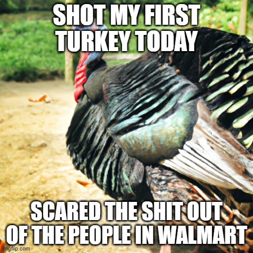 SHOT MY FIRST TURKEY TODAY; SCARED THE SHIT OUT OF THE PEOPLE IN WALMART | image tagged in thanksgiving | made w/ Imgflip meme maker