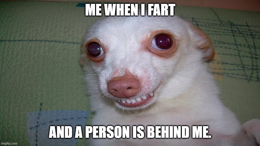 embarrassed grin | ME WHEN I FART; AND A PERSON IS BEHIND ME. | image tagged in embarrassed grin | made w/ Imgflip meme maker