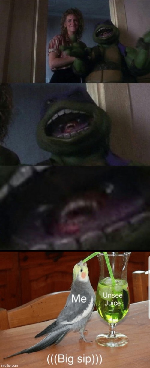 I’m on a tmnt marathon | image tagged in unsee juice | made w/ Imgflip meme maker