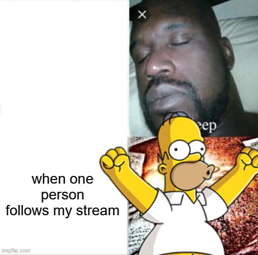 Sleeping Shaq Meme | when one person follows my stream | image tagged in memes,sleeping shaq | made w/ Imgflip meme maker
