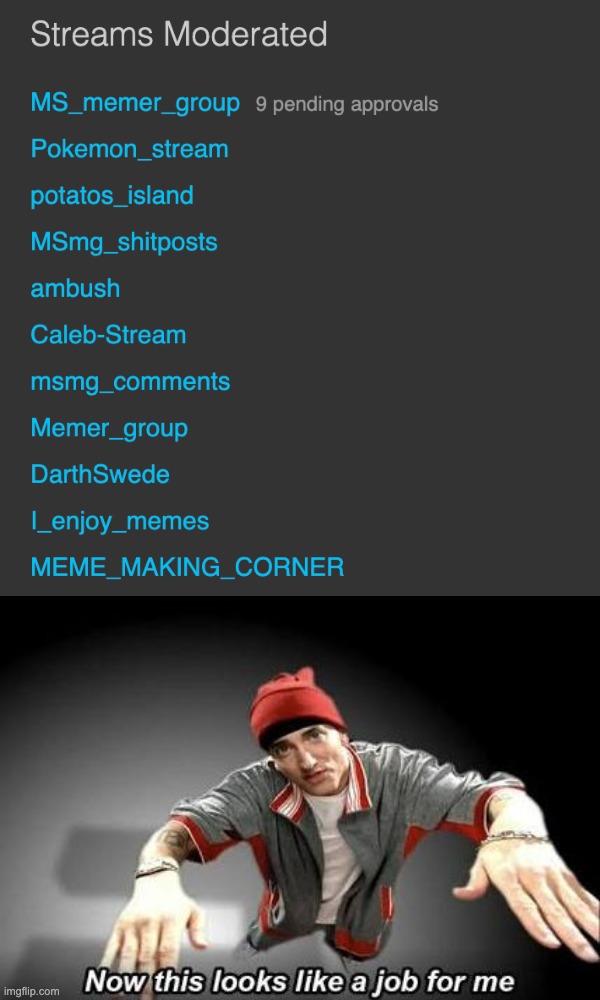 NOW THIS LOOKS LIKE A JOB FOR ME SO EVERYBODY JUST FOLLOW ME literally one of the only eminem songs ik | made w/ Imgflip meme maker