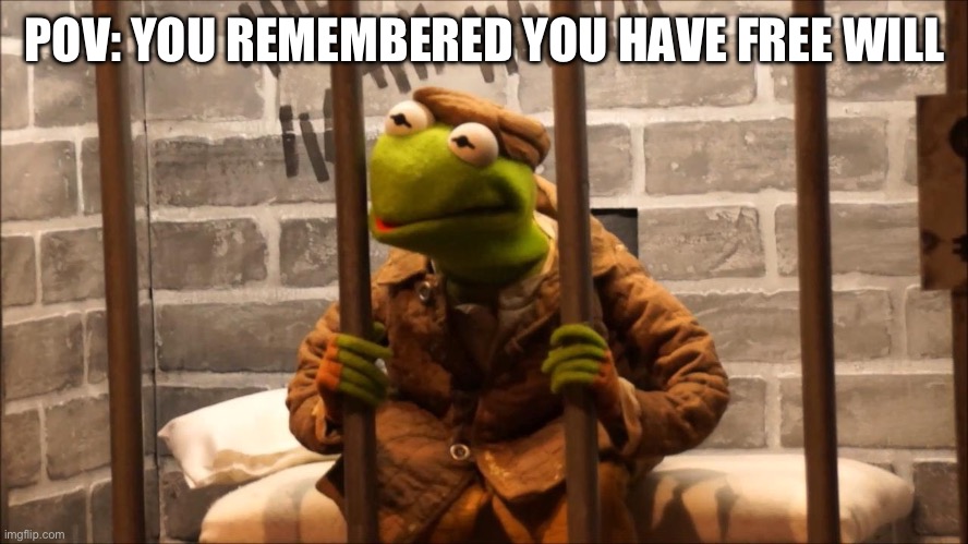 Kermit in jail | POV: YOU REMEMBERED YOU HAVE FREE WILL | image tagged in kermit in jail | made w/ Imgflip meme maker