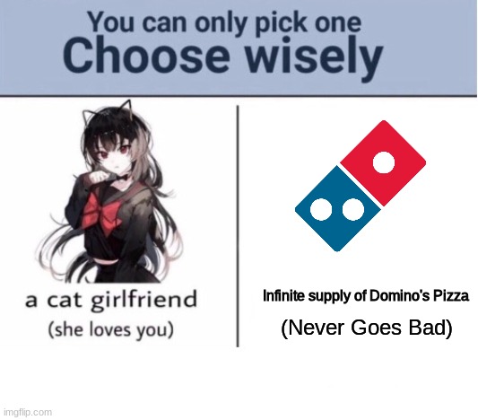 Piza | Infinite supply of Domino's Pizza; (Never Goes Bad) | image tagged in choose wisely | made w/ Imgflip meme maker