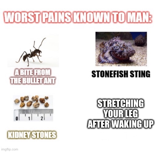 most painful things known to man | STRETCHING YOUR LEG AFTER WAKING UP | image tagged in most painful things known to man | made w/ Imgflip meme maker