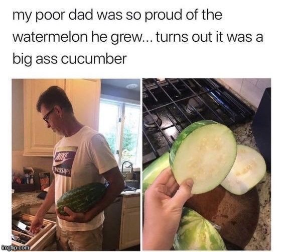 Watermelon:No 

Big A** Cucumber:Yes | image tagged in memes,funny | made w/ Imgflip meme maker