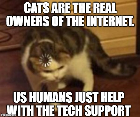 ? | CATS ARE THE REAL OWNERS OF THE INTERNET. US HUMANS JUST HELP WITH THE TECH SUPPORT | image tagged in loading cat | made w/ Imgflip meme maker