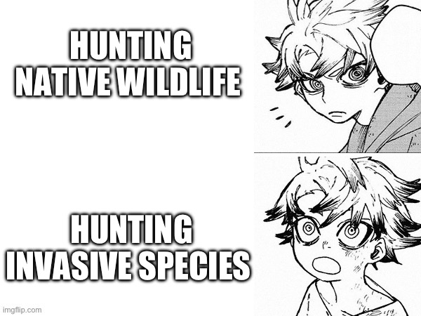 Hunting Invasive > Hunting Native | HUNTING NATIVE WILDLIFE; HUNTING INVASIVE SPECIES | image tagged in drake meme template gachiakuta version,hunting,wildlife,guns,hunting season,anime memes | made w/ Imgflip meme maker