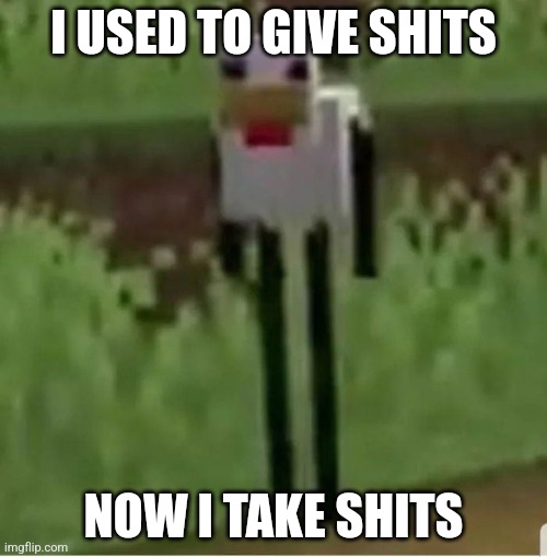 Now I take shits | I USED TO GIVE SHITS; NOW I TAKE SHITS | image tagged in cursed minecraft chicken | made w/ Imgflip meme maker