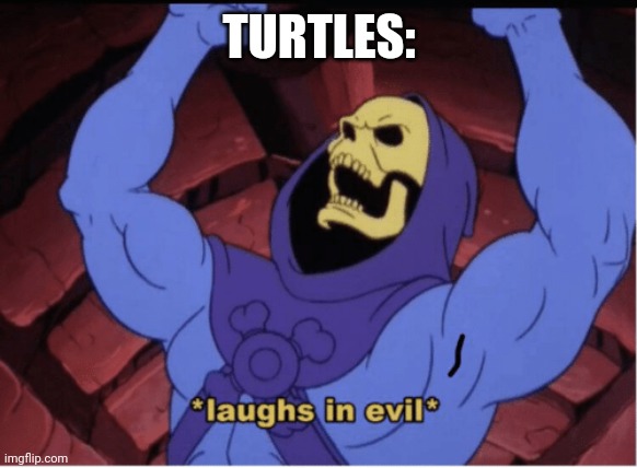 Laughs in evil | TURTLES: | image tagged in laughs in evil | made w/ Imgflip meme maker