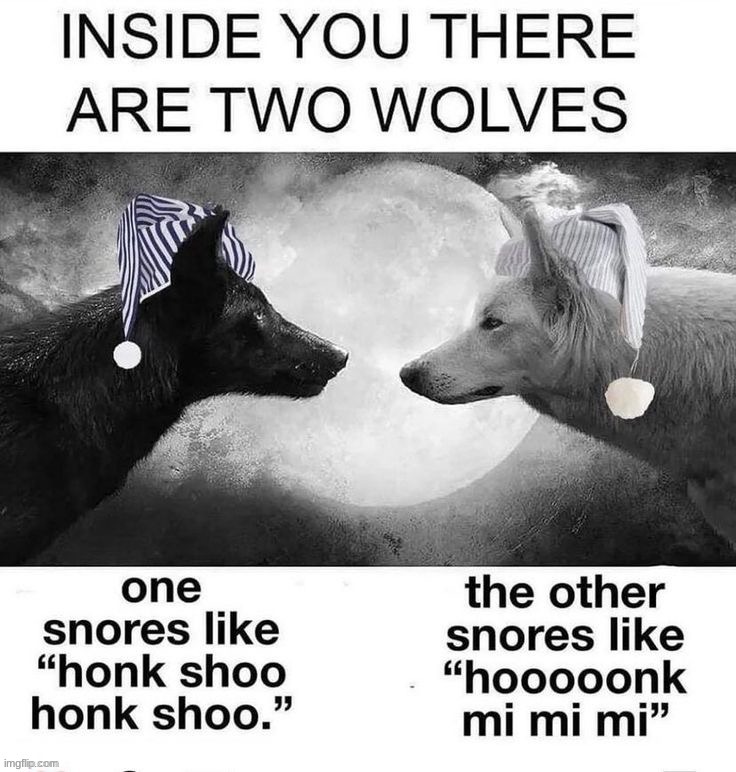 Two wolves Blank Meme Template