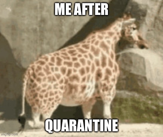 Giraffe | ME AFTER; QUARANTINE | image tagged in giraffe | made w/ Imgflip meme maker