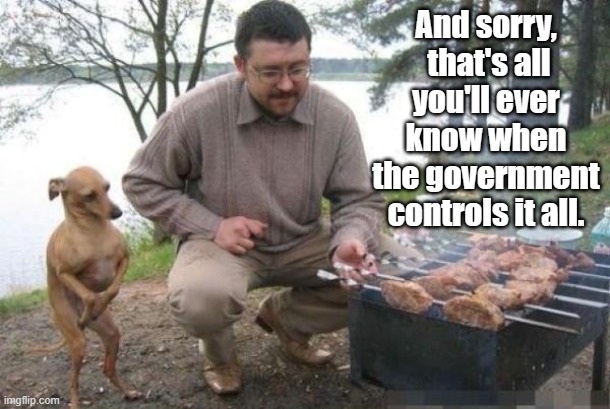 Dog Waiting for BBQ | And sorry,  that's all you'll ever know when the government controls it all. | image tagged in dog waiting for bbq | made w/ Imgflip meme maker