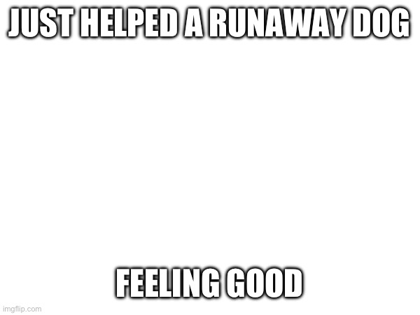 JUST HELPED A RUNAWAY DOG; FEELING GOOD | made w/ Imgflip meme maker