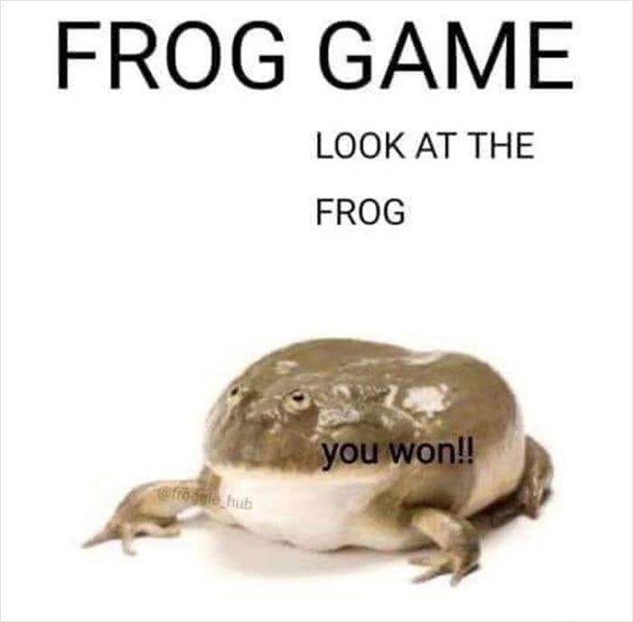 frog game Blank Meme Template