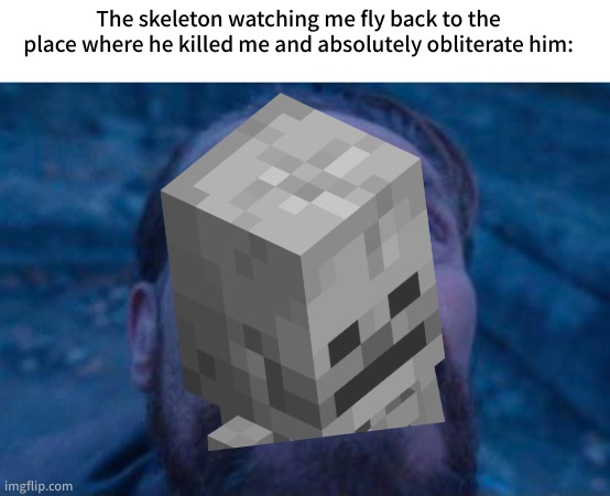 too true | The skeleton watching me fly back to the place where he killed me and absolutely obliterate him: | image tagged in minecraft,memes,funny | made w/ Imgflip meme maker