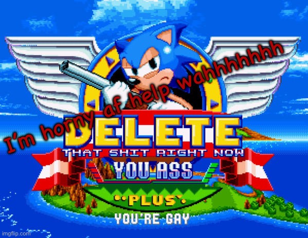 Delete That Shit RIGHT NOW sonic mania | I’m horny af help wahhhhhhh | image tagged in delete that shit right now sonic mania | made w/ Imgflip meme maker