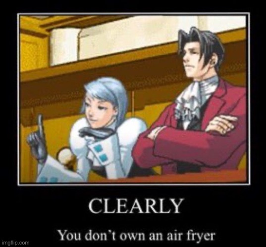 Clearly You Dont Own An Air Fryer | image tagged in ace attorney | made w/ Imgflip meme maker