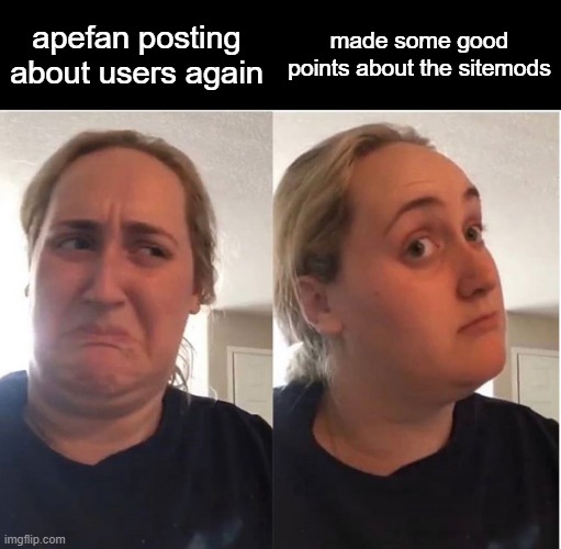 hmmm | made some good points about the sitemods; apefan posting about users again | image tagged in hmmm | made w/ Imgflip meme maker