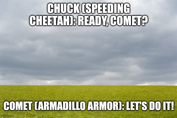 Power Testers | CHUCK (SPEEDING CHEETAH): READY, COMET? COMET (ARMADILLO ARMOR): LET'S DO IT! | image tagged in empty field | made w/ Imgflip meme maker