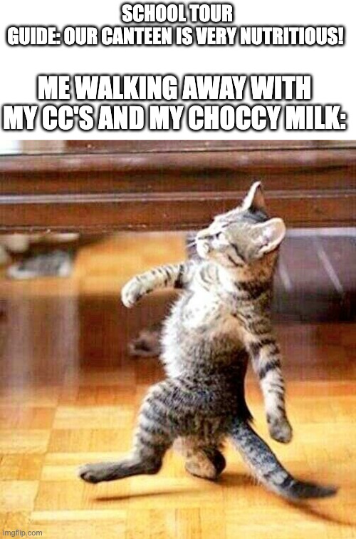 "That, my friend is a lie!" | SCHOOL TOUR GUIDE: OUR CANTEEN IS VERY NUTRITIOUS! ME WALKING AWAY WITH MY CC'S AND MY CHOCCY MILK: | image tagged in cat walking away | made w/ Imgflip meme maker
