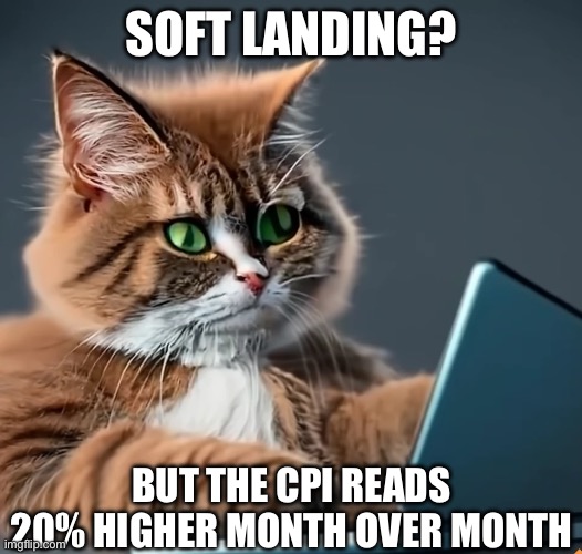 Investor cat | SOFT LANDING? BUT THE CPI READS 20% HIGHER MONTH OVER MONTH | image tagged in cat,computer,invest,inflation | made w/ Imgflip meme maker